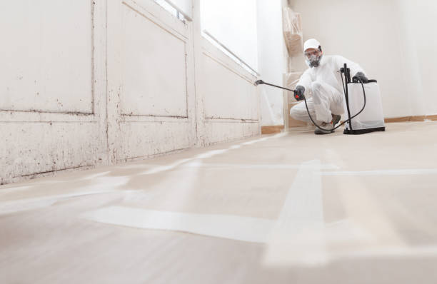 24/7 Emergency Attic Mold Removal experts in Peoria, AZ